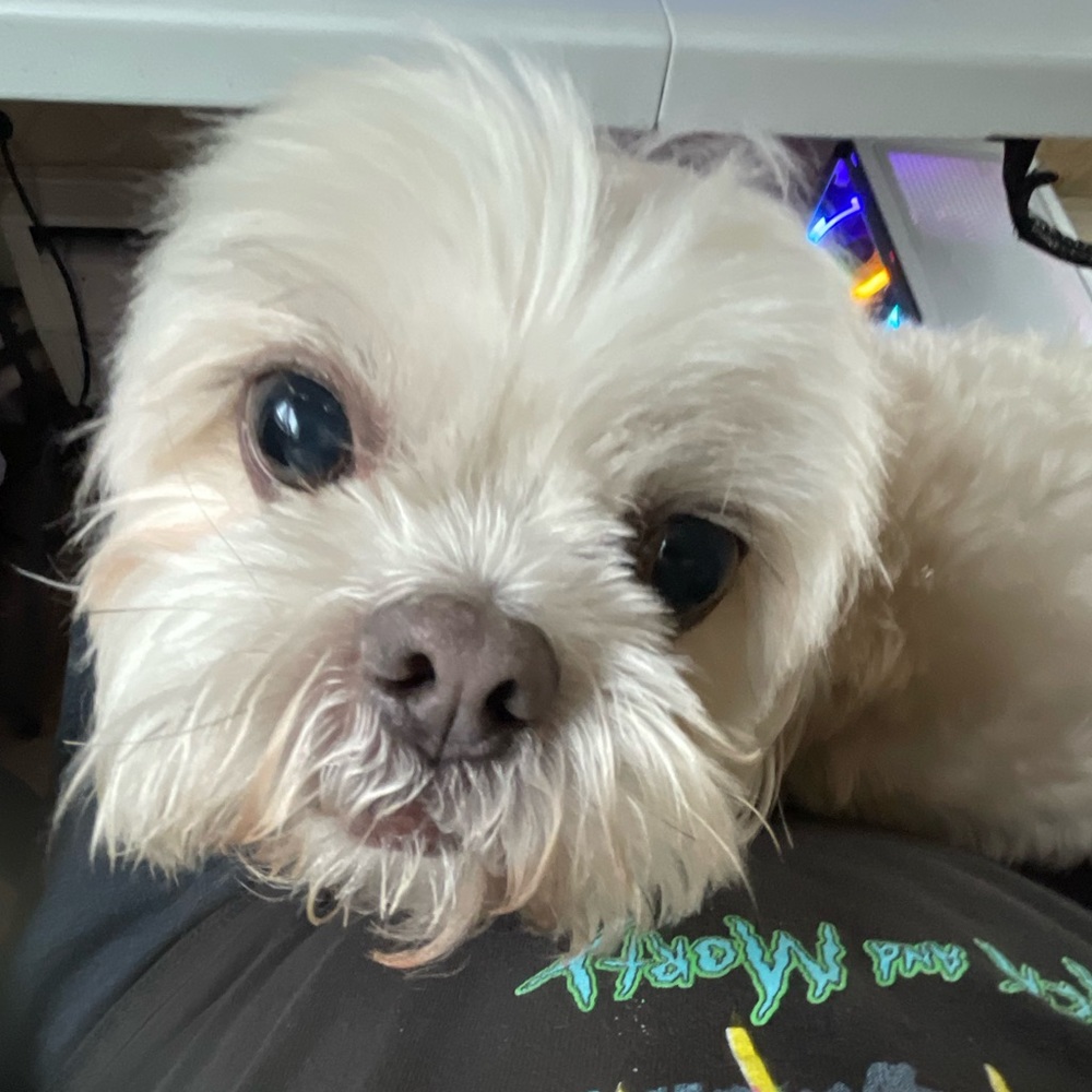 Meet your Posher, Joseph